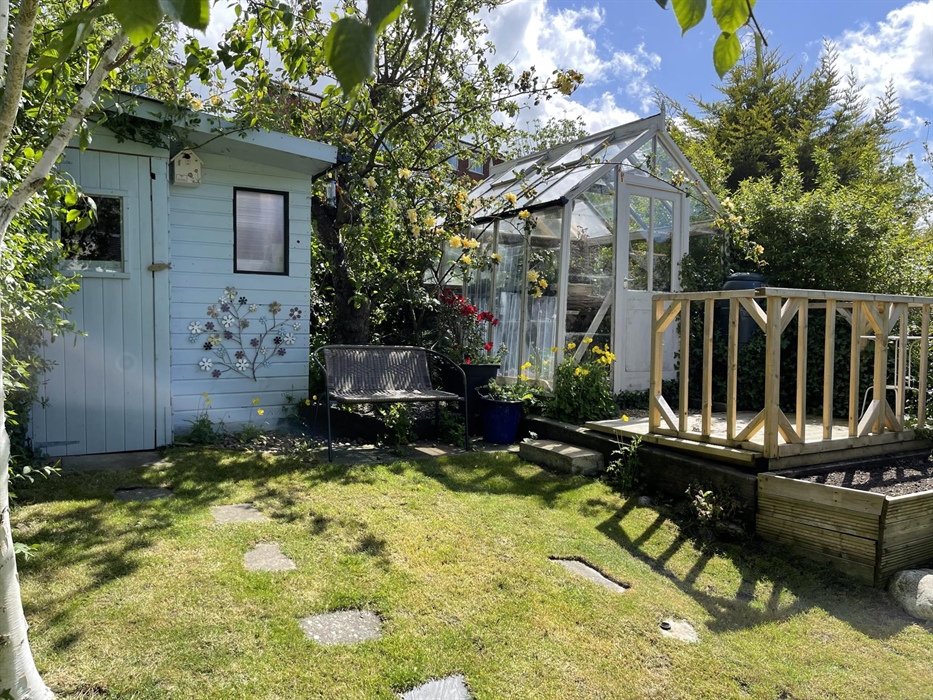 Peaceful sunny garden