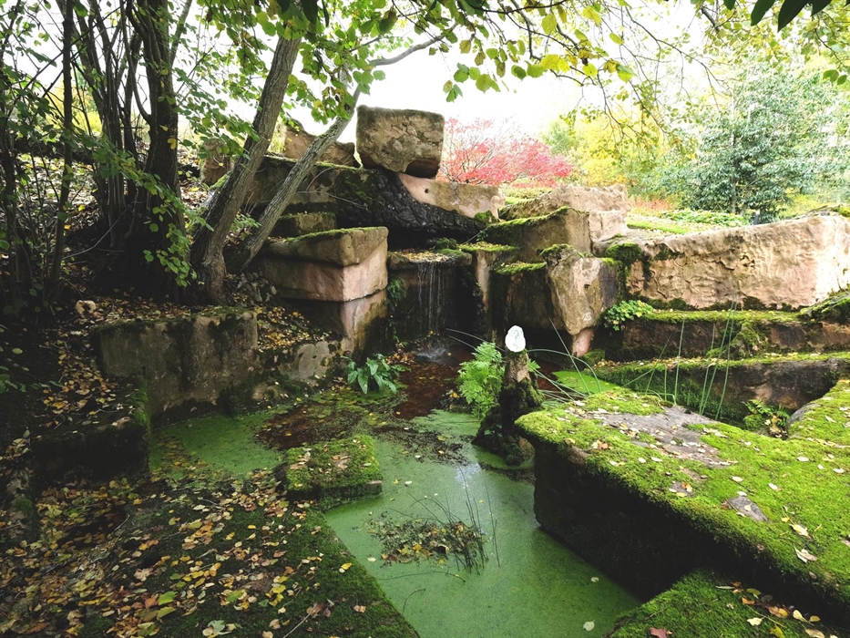 Moss Garden and Rock Face