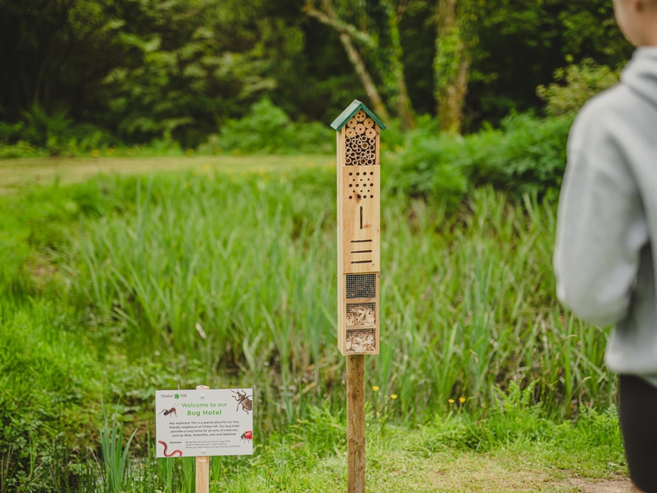 Promoting biodiversity, Timber Hill’s bee hotel is a sanctuary for our buzzing friends.