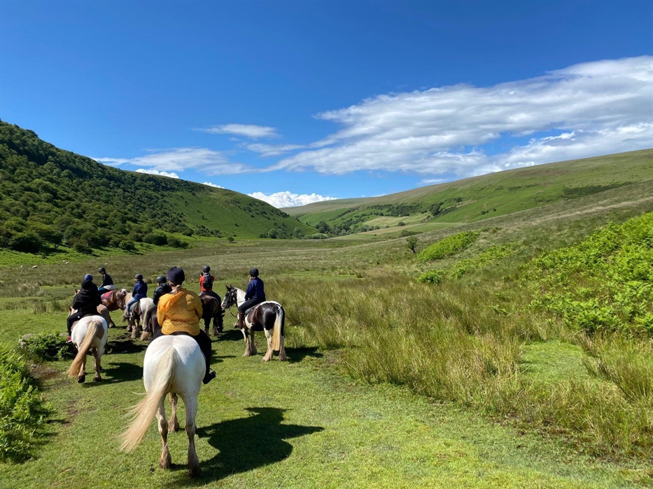 For more experienced riders there are places along all of the rides to learn to trot and to canter if you have done so before. Trotting can be taught