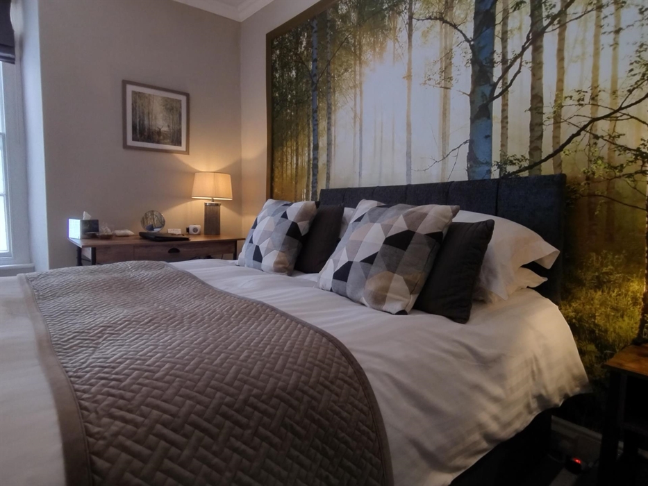 Room 1 Woodland - Plas Tan y Graig Guest House