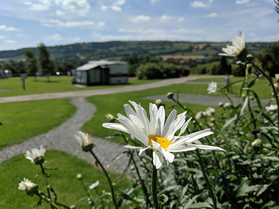 South facing with views of the Camlad Valley. Fully serviced pitches for caravans, motorhomes and campervans. Two of our pods are also located here