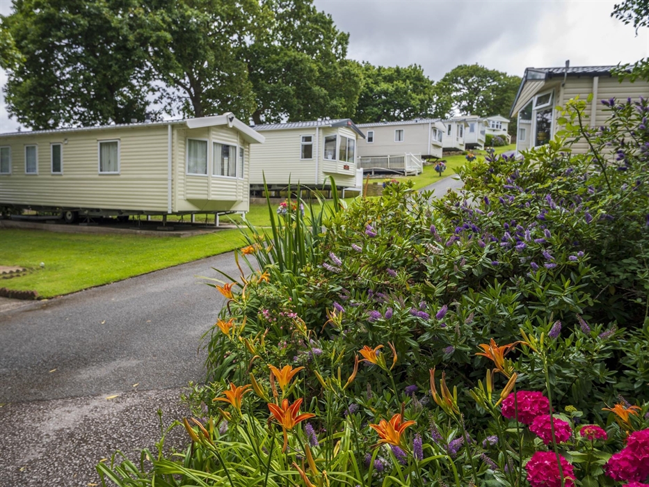 Tree Tops Caravan Park, North Wales