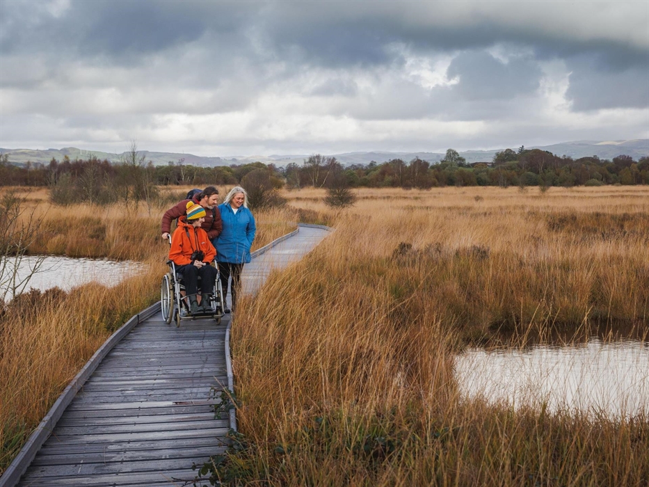 The accessible boardwalk