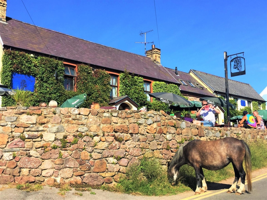 Tours with activities, exploring & Welsh pubs!