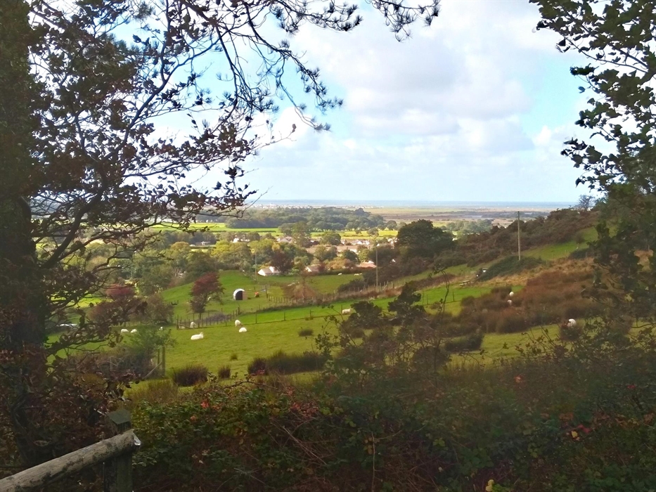 What you see when you step out of the double glass doors onto the patio.