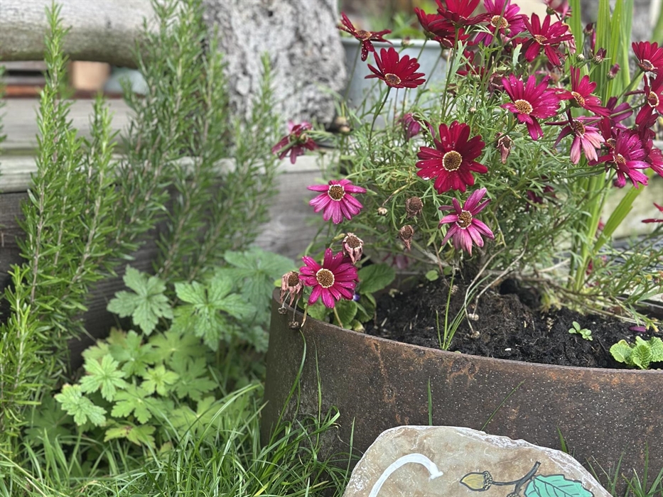 A warm welcome awaits