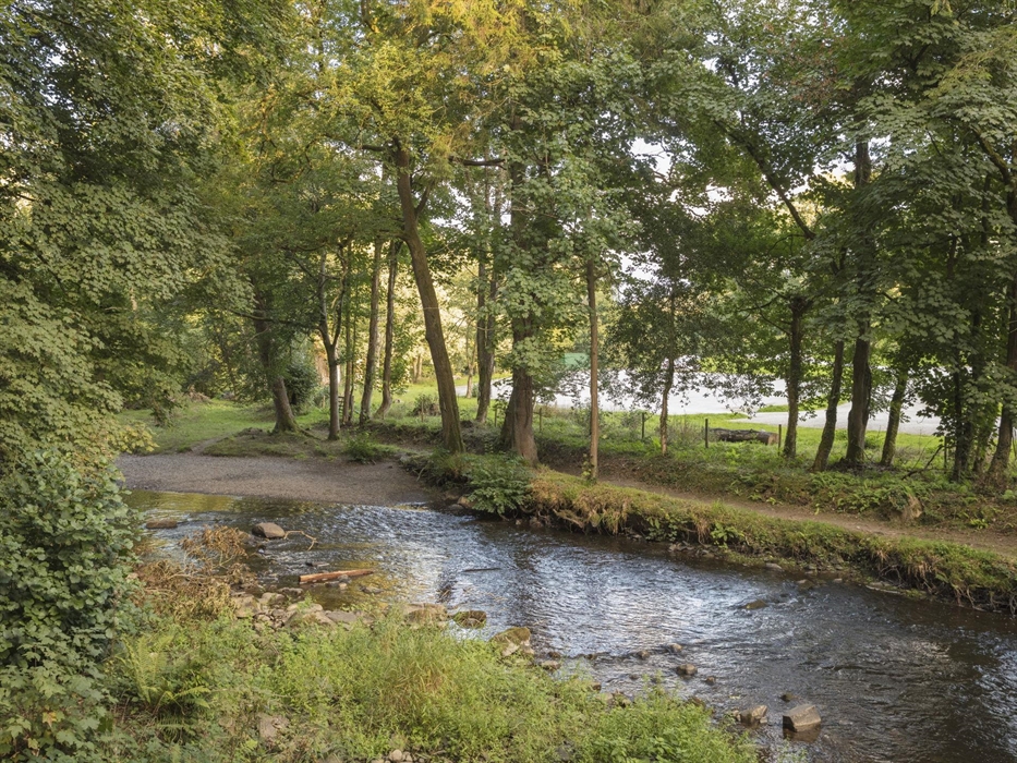 Llanerchaeron Woodlands