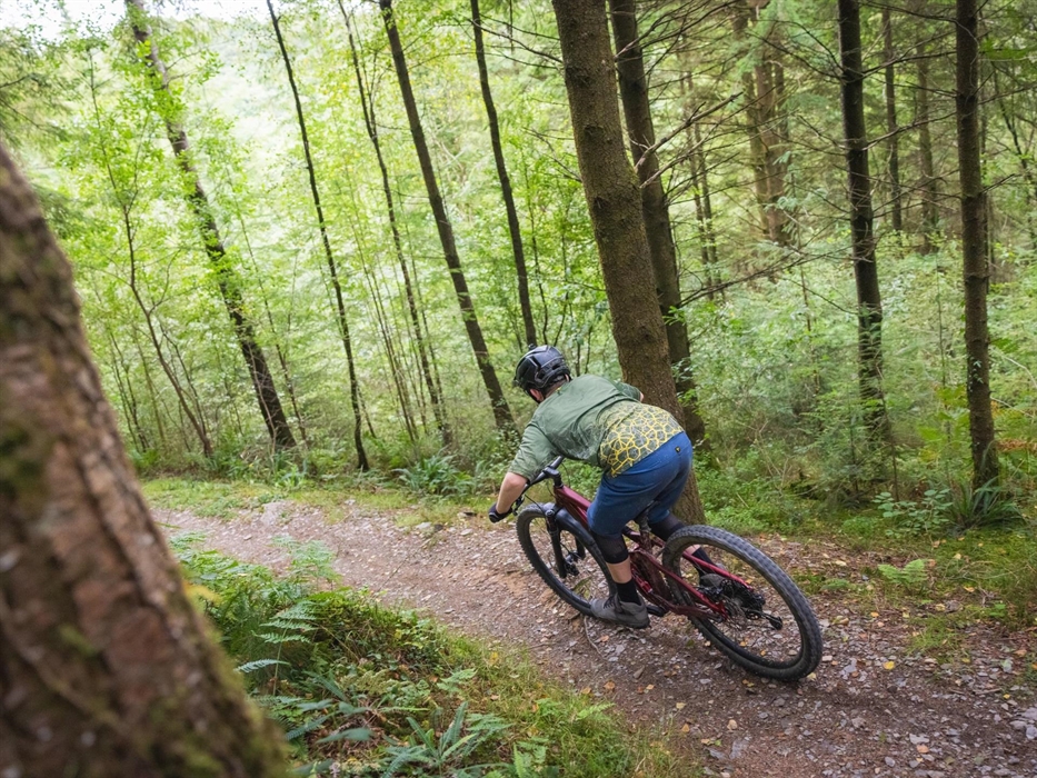 Mountain biking in Byrgwm, Brechfa Forest