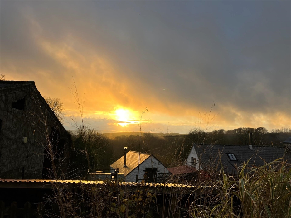 Nantgwynfaen Organic Farm Wales