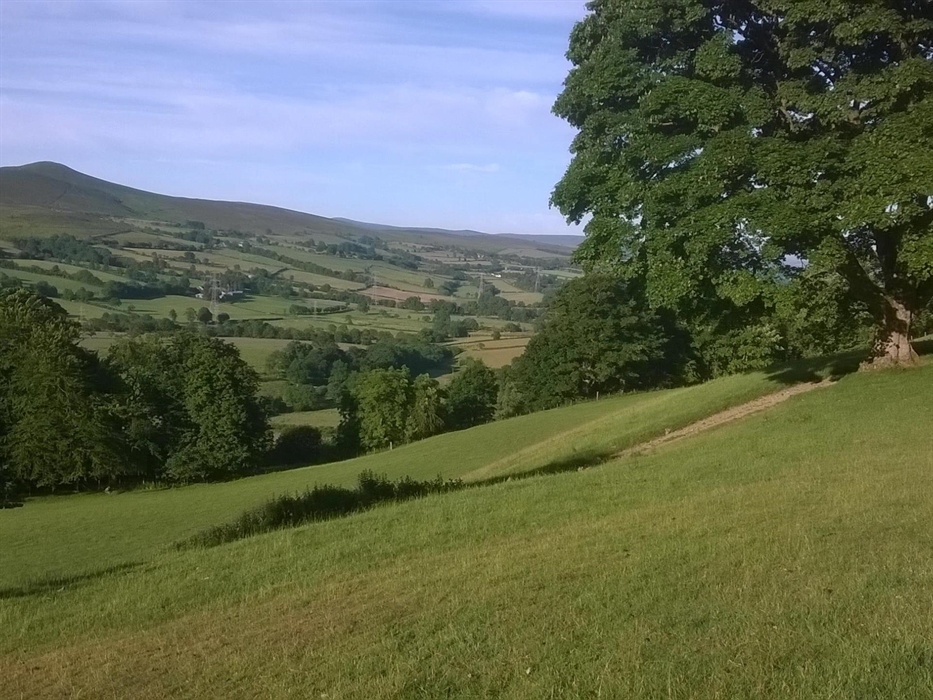 Farm walk to a 360 vange point