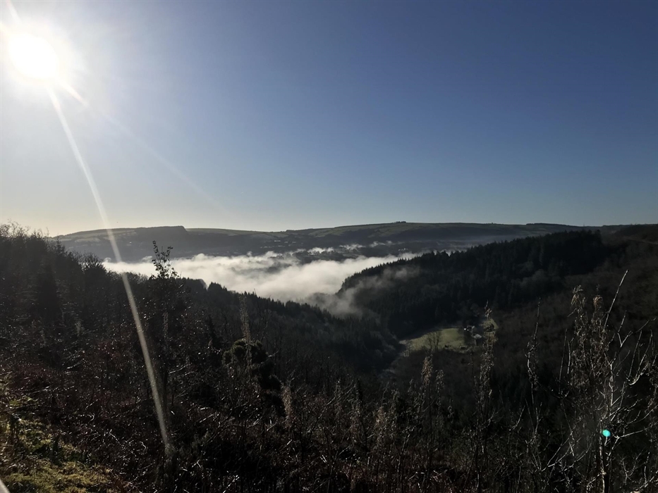 View from up the mountain