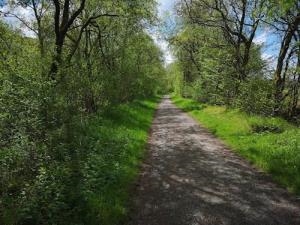 Ystwyth Trail - Old Railway Walk