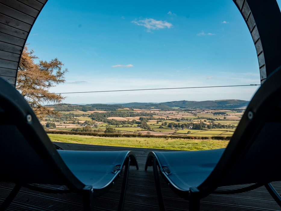 Alpacas Rest, Wales