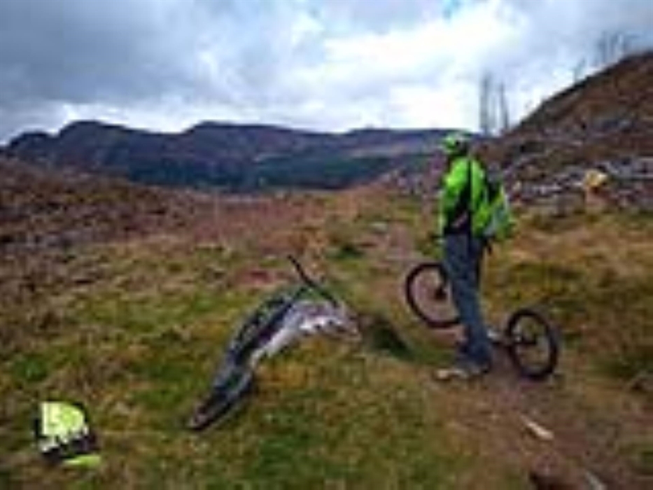 Catching breath from lake Geirionydd to lake Crafnant