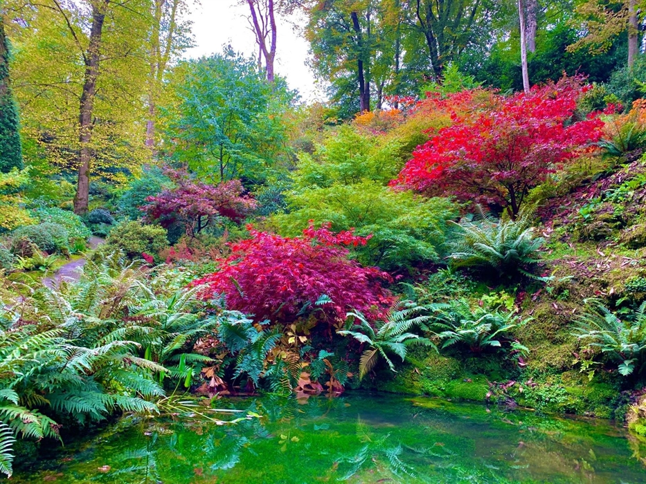 Reflecting Pool and Lower Valley, Plas Cadnant, Autumn, by Patrick Davies