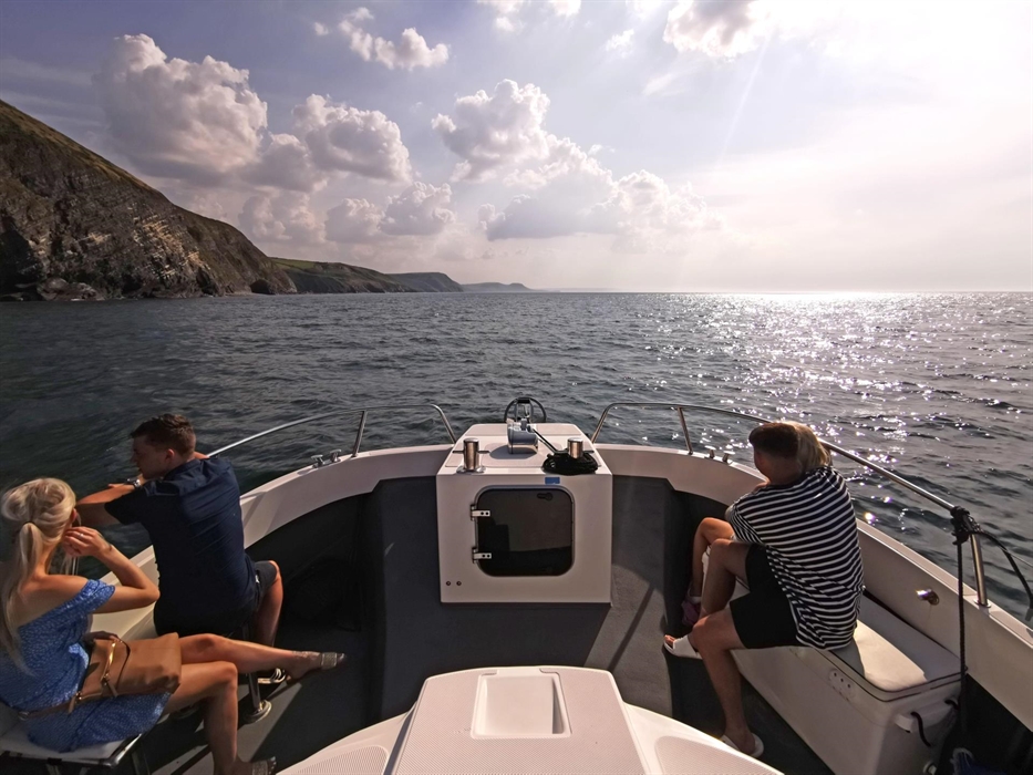 Dolphin Spotting Boat Trips