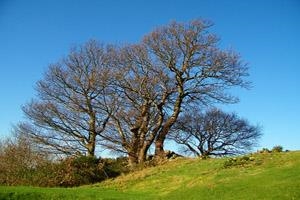 Llanfairfechan Golf Club
