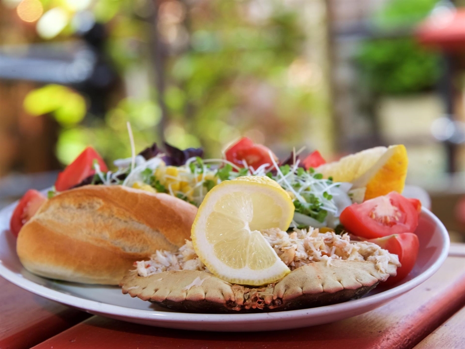 fresh crab - in season