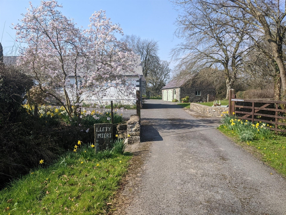 Arriving at Llety Mieri