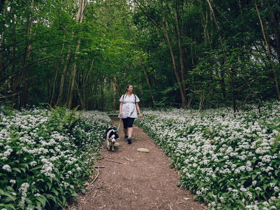 Walking at Boncyn Foel Bach, Clocaenog Forest