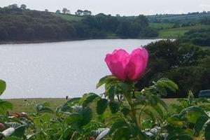 Brynhaul Bed and Breakfast Pembrokeshire