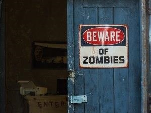 Zombie Hunt – Air Rifle Shooting Experience