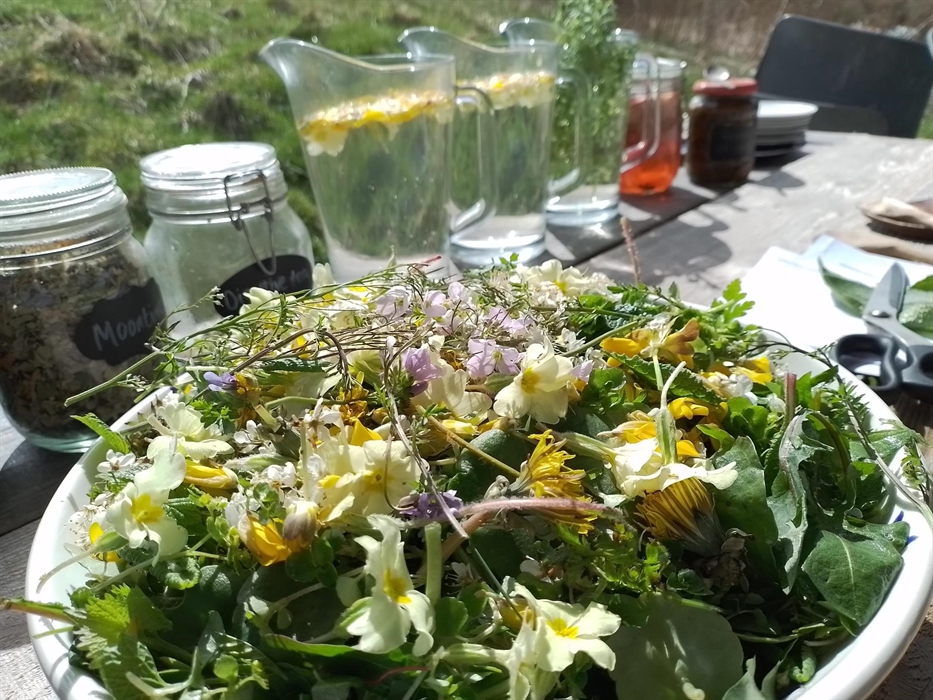 A tasty wild salad on a foraging course