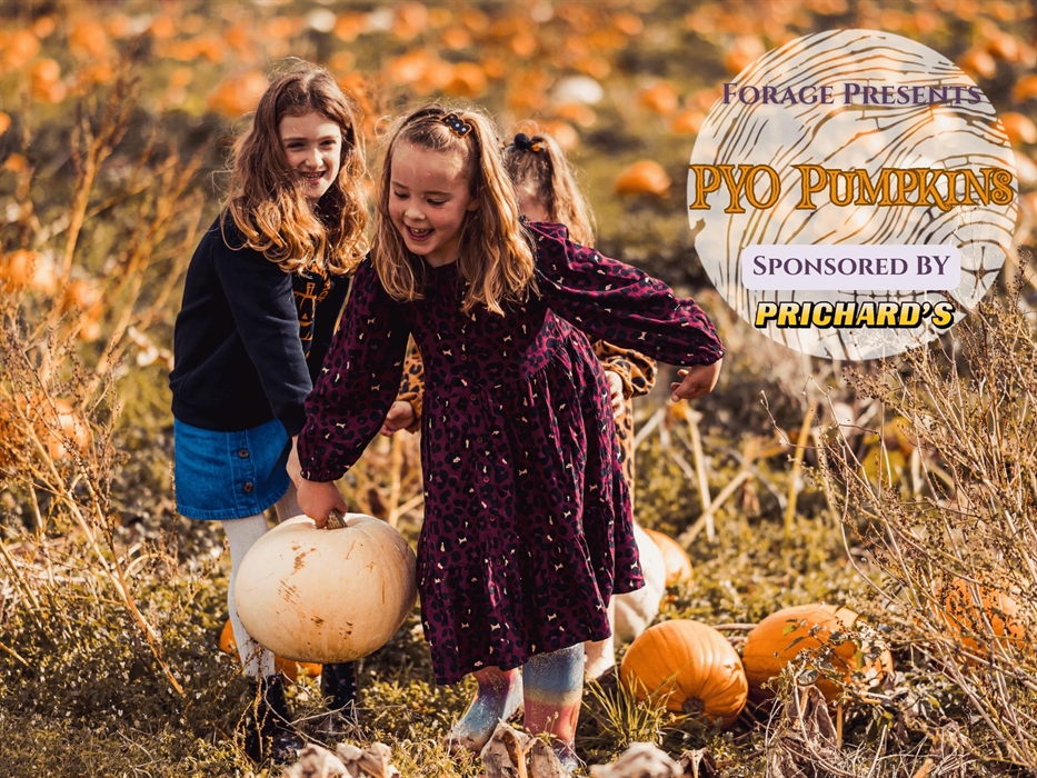 Children lifting Pumpkins