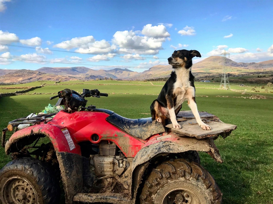 Panoramic Views of Sea and Mountains.