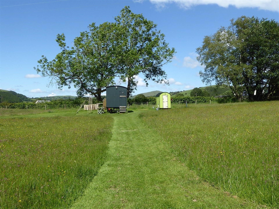View of the Hygger Hut in the wild flower Meadow