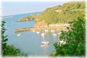 Fishguard Holiday Park