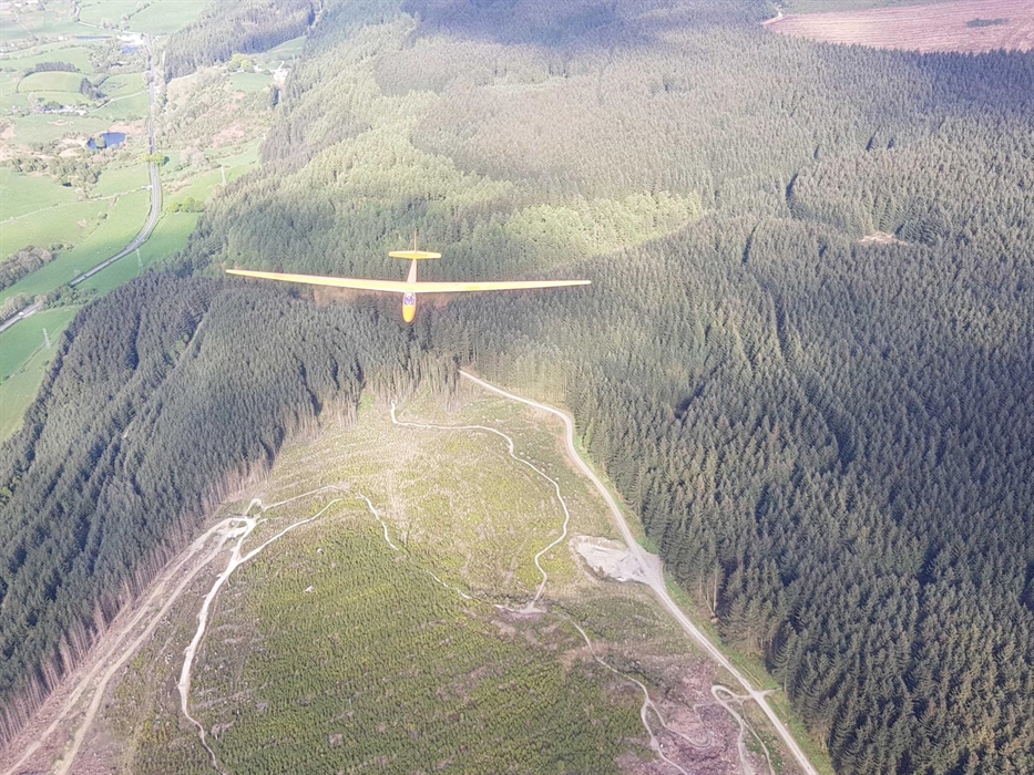 Gliding over Llandegla forrest