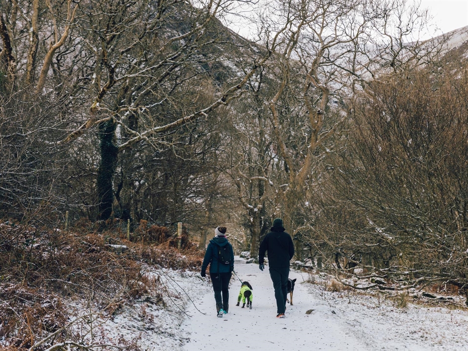 Walking at Coedydd Aber National Nature Reserve