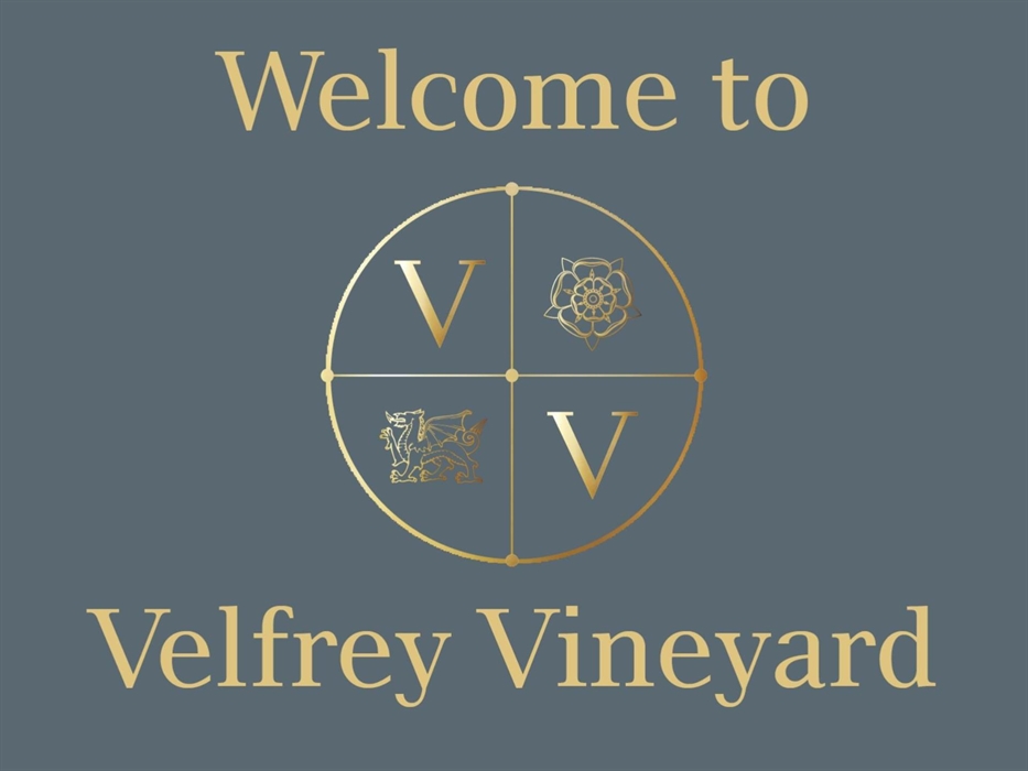 Welcome to Velfrey Vineyard Pembrokeshire