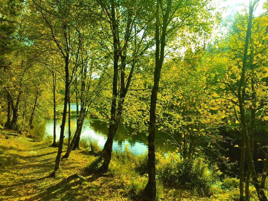 LLyn Elsi - a walk nearby