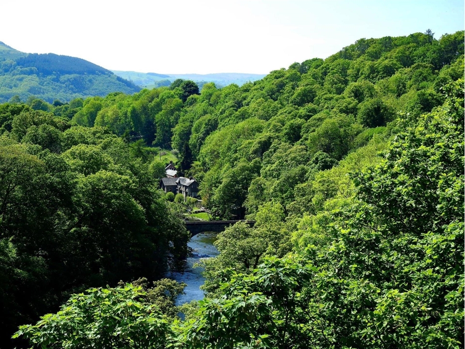 A view from the Pontcysyllte Aqueduct of the river Dee, edged by an endless sea of Trees.