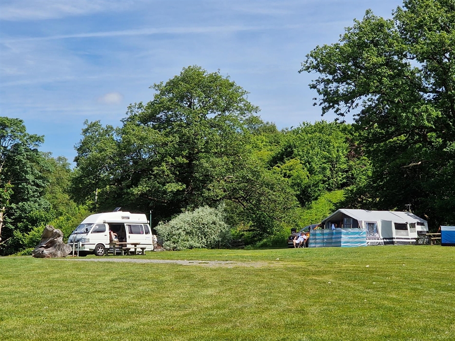 Camper van and tent on grass pitch with EHU