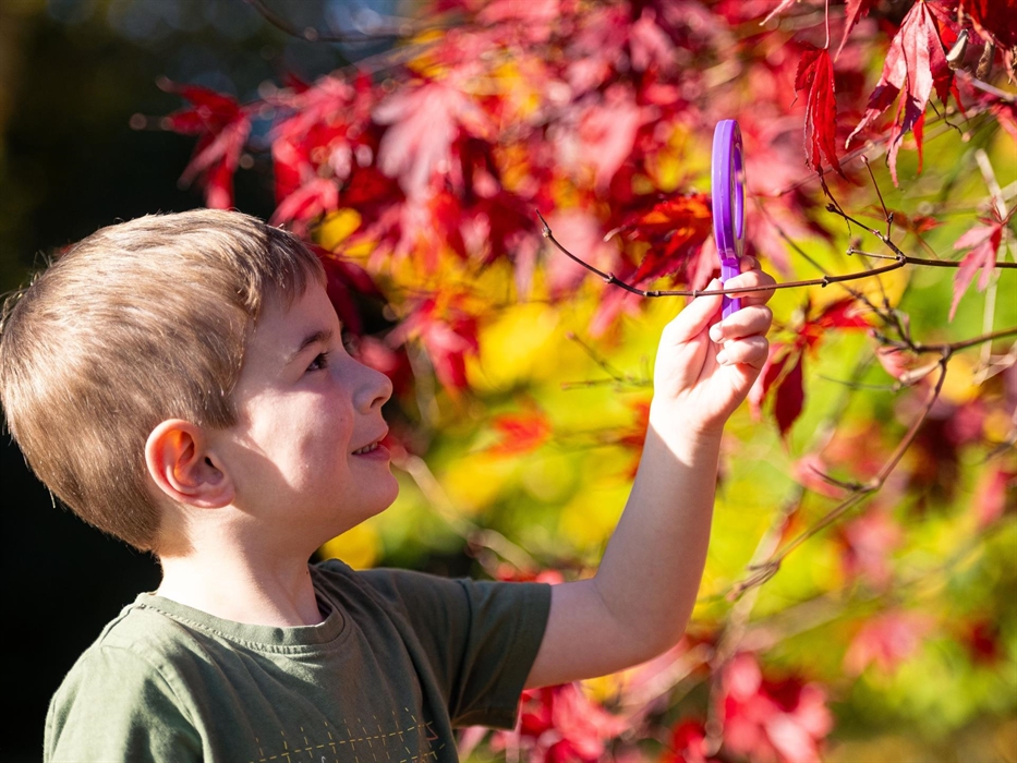 Autumn family visits to Dyffryn Gardens