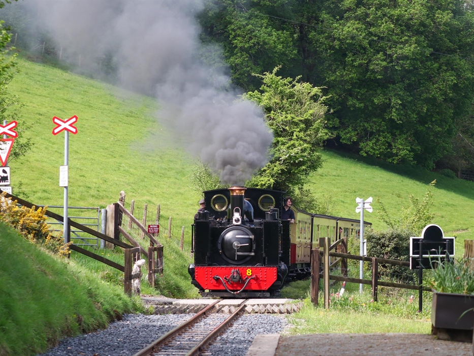 Engine no. 8 steaming in to Nanryonen Station
