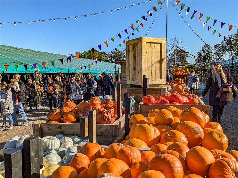 Explore the Pumpkin Village & Market