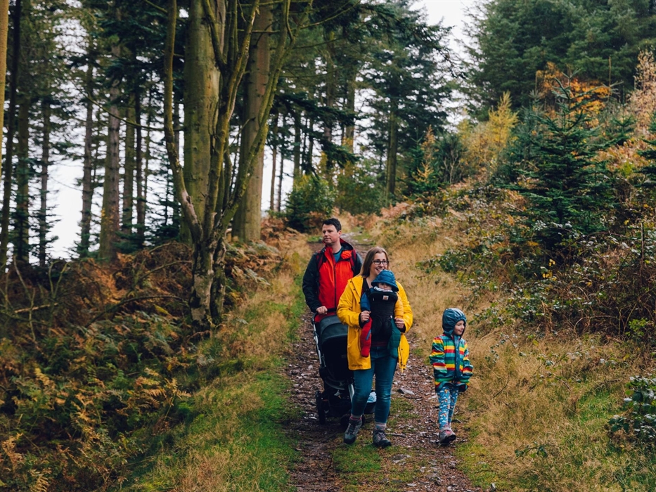 Walking in Coed Moel Famau
