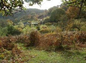 View of farm from a camping pitch