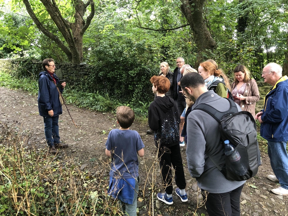 There is an abundance of wild forageable materials around the Cathedral Close where we can revive the lost knowledge of the benefits of nature's bount