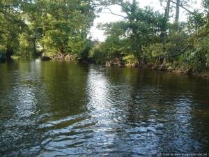 Denbigh and Clwyd Angling