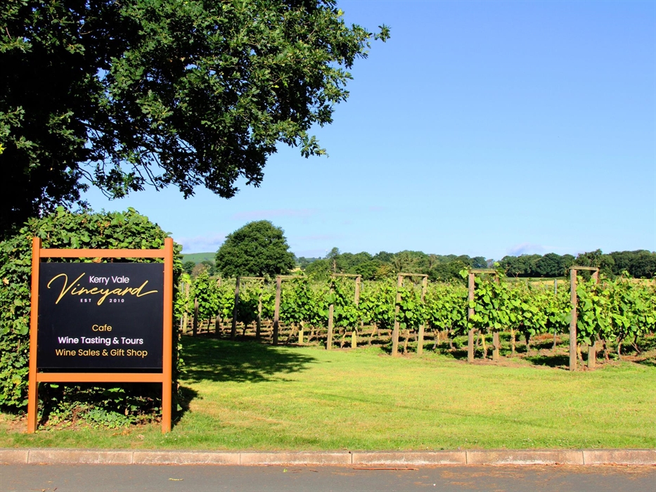 Kerry Vale Vineyard