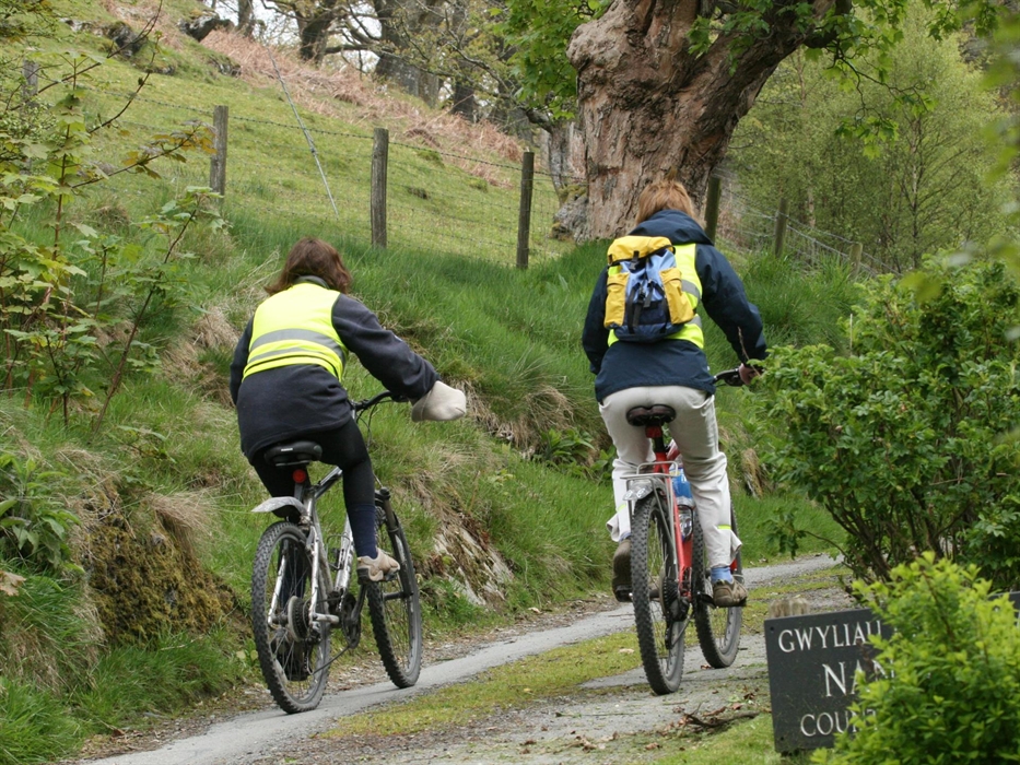 Bring or hire a bike to cycle on and around the farm at Nannerth Country Holidays