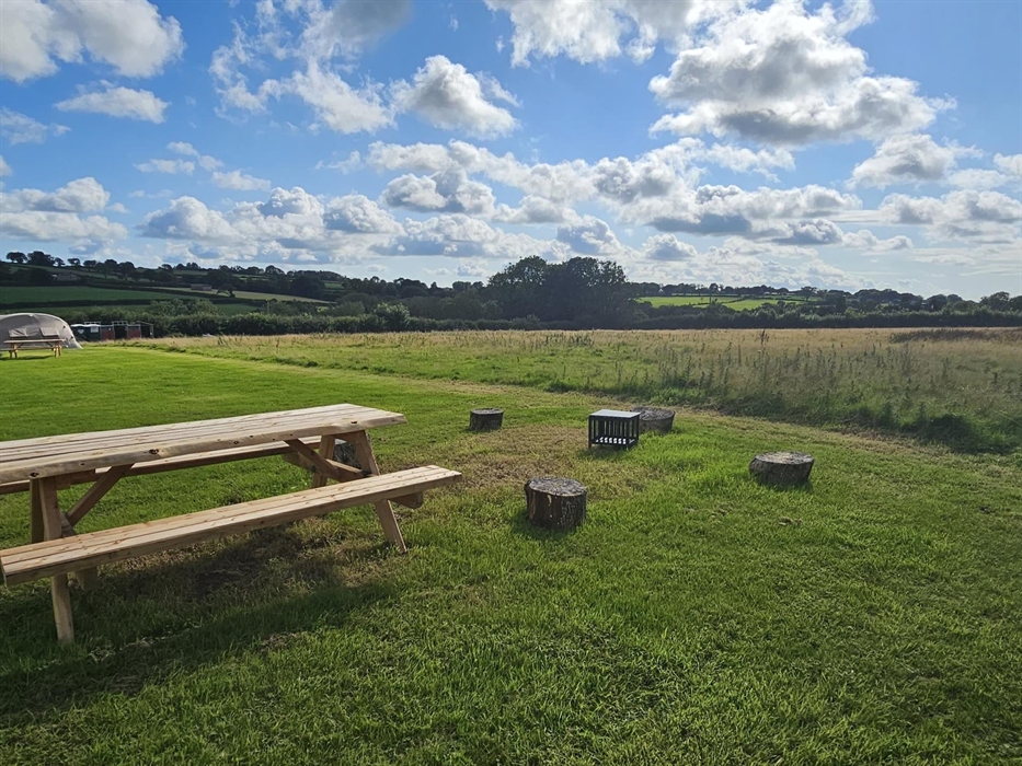The non electric wild camping pitches are ideal for star gazing, with only a shower room in the field. Please bring a torch, as we have little lights