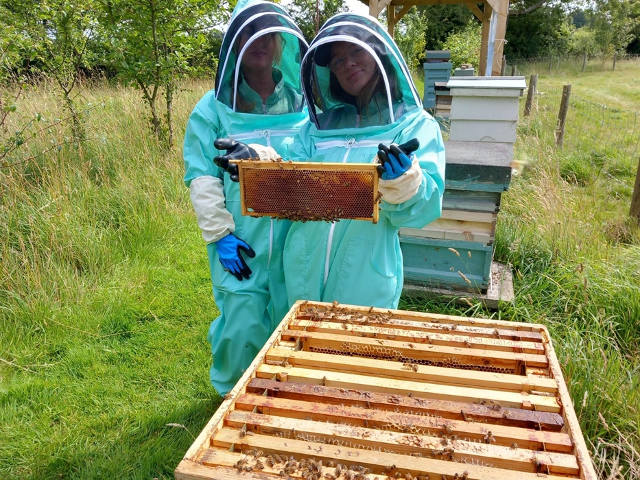 Identifying honey, eggs and brood in various stages whilst inspecting frames of honeycomb