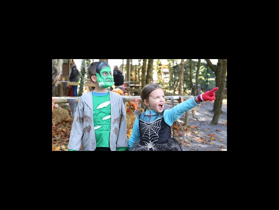 SpookWood